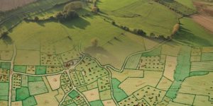 visuel des racines et des haies