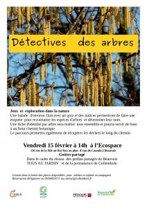 Permanences 2019 : détective des arbres