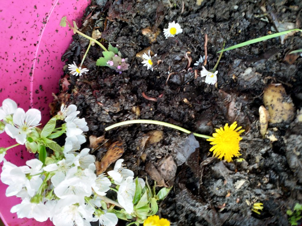 c'est le printemps