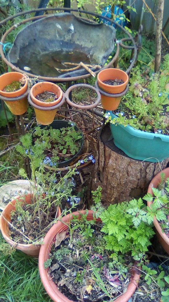 eau pour insectes