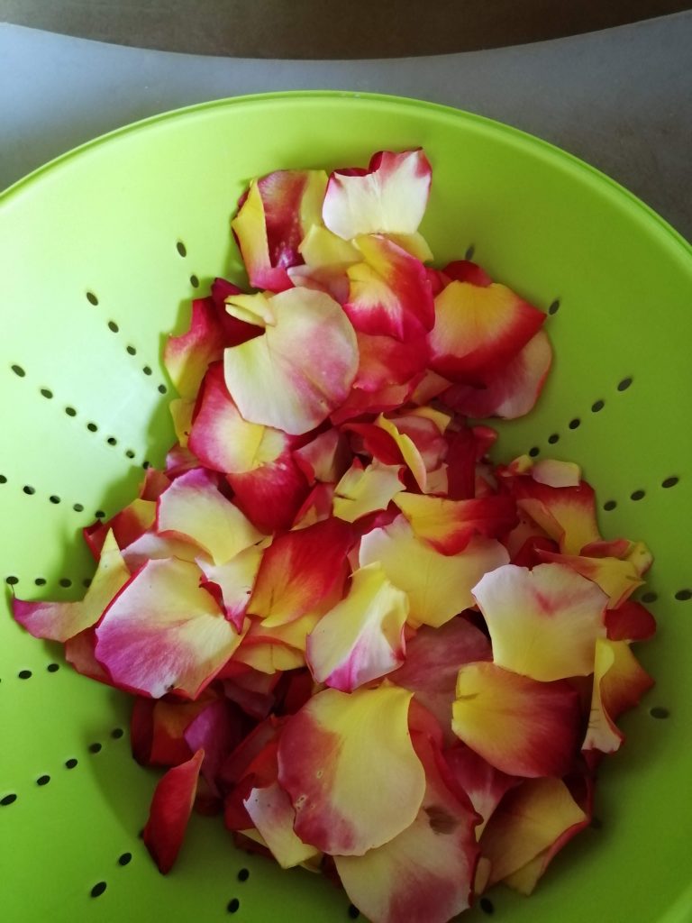 Pétales de roses