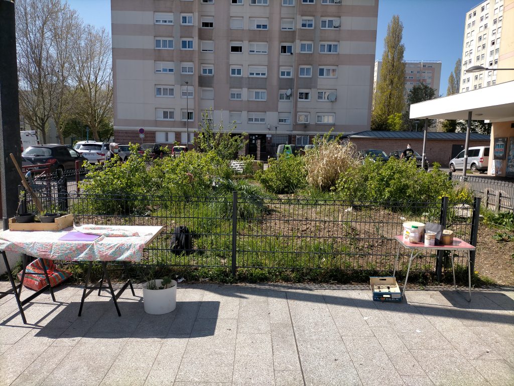 Bourses aux plantes et aux graines
