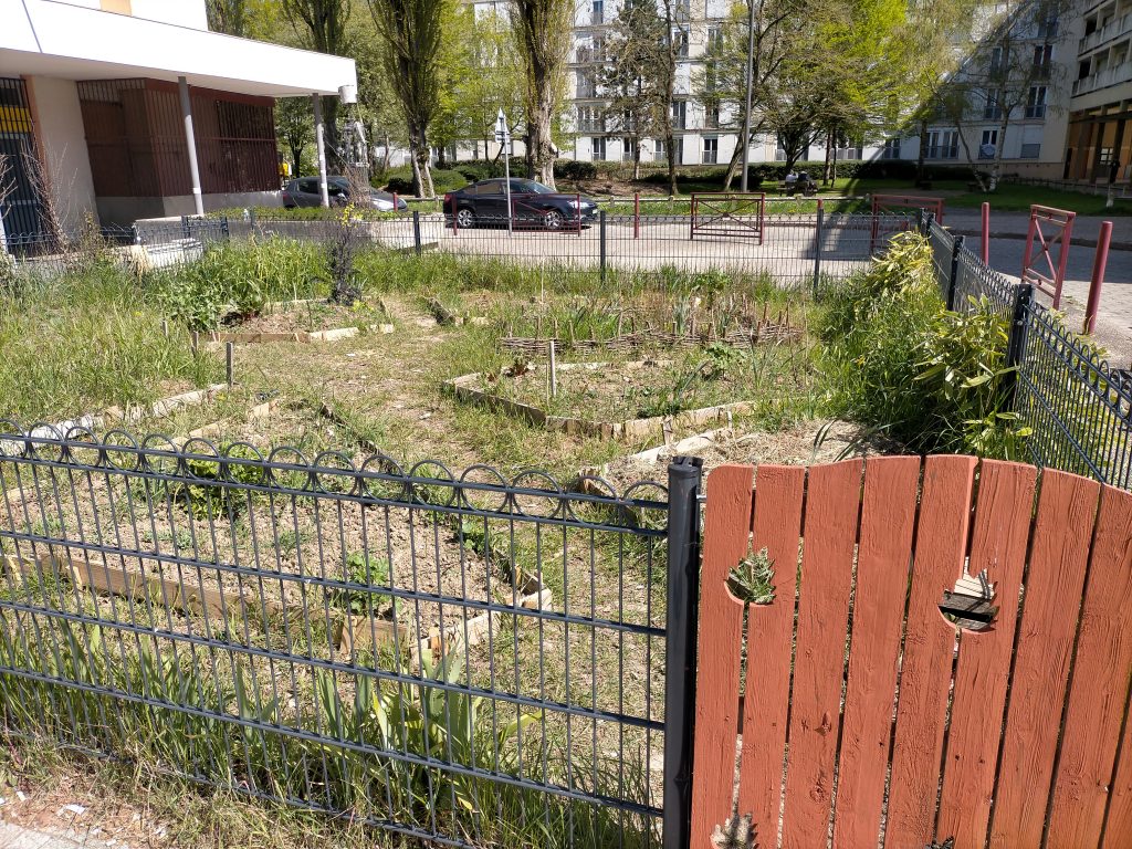 jardin partagé